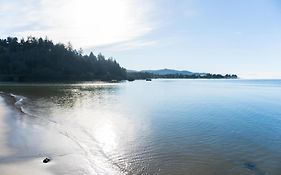 Dock Of The Bay #105